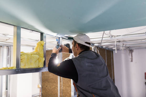 Best Insulation Removal  in Greenville, KY