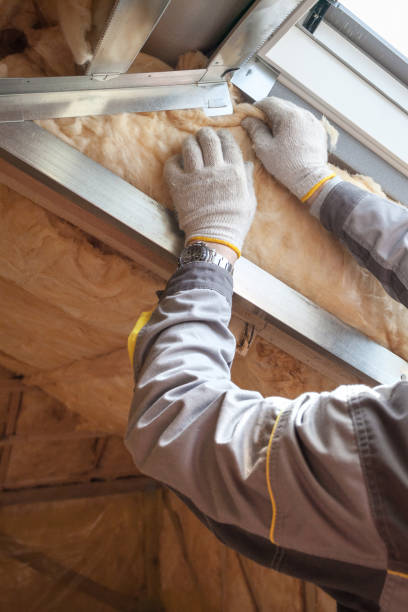 Best Insulation Replacement Services  in Greenville, KY